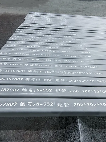 17569743672028319.webp